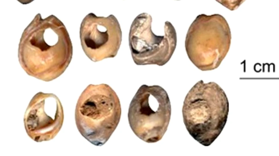 Primele podoabe ale omului