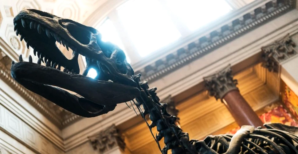 Fosila unuia dintre ultimii megaraptori de pe planetă, descoperită în Argentina