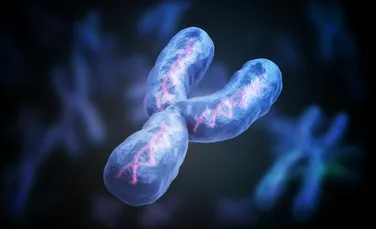 Cromozomul Y uman a fost secvențiat pentru prima dată