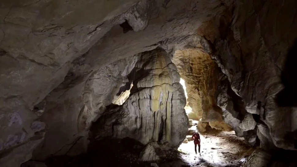 Gravuri cu bizoni din peșterile din Spania dezvăluie noi detalii despre capacitățile strămoșilor noștri