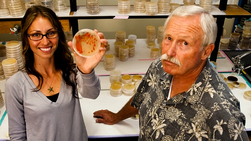 Reuşită extraordinară pentru medicină: a fost descoperit un antibiotic nou ce atacă anthraxul şi MRSA!