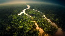 Luigi Cani, Gardianul Amazonului. Peste 100 de milioane de semințe de copaci „plantate” din cer în mijlocul „Plămânilor Lumii”