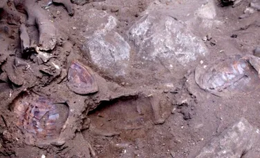 Ramasitele unei femei saman preistorice, dezgropate in Israel