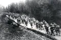 Din cenușa înfrângerii: O mărturie despre miracolul militar românesc din 1917