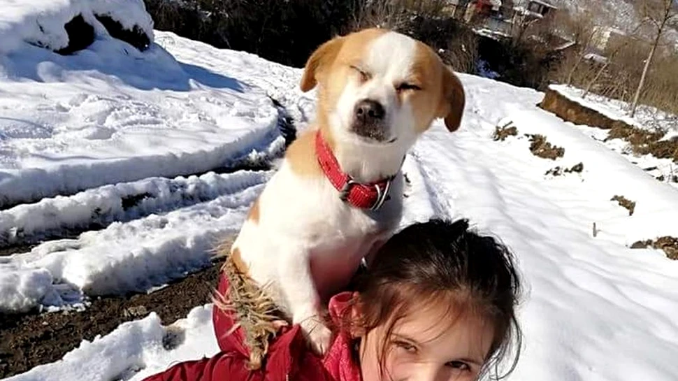 O fetiță și-a cărat câinele pe spate doi kilometri, prin zăpadă, pentru a ajunge la veterinar