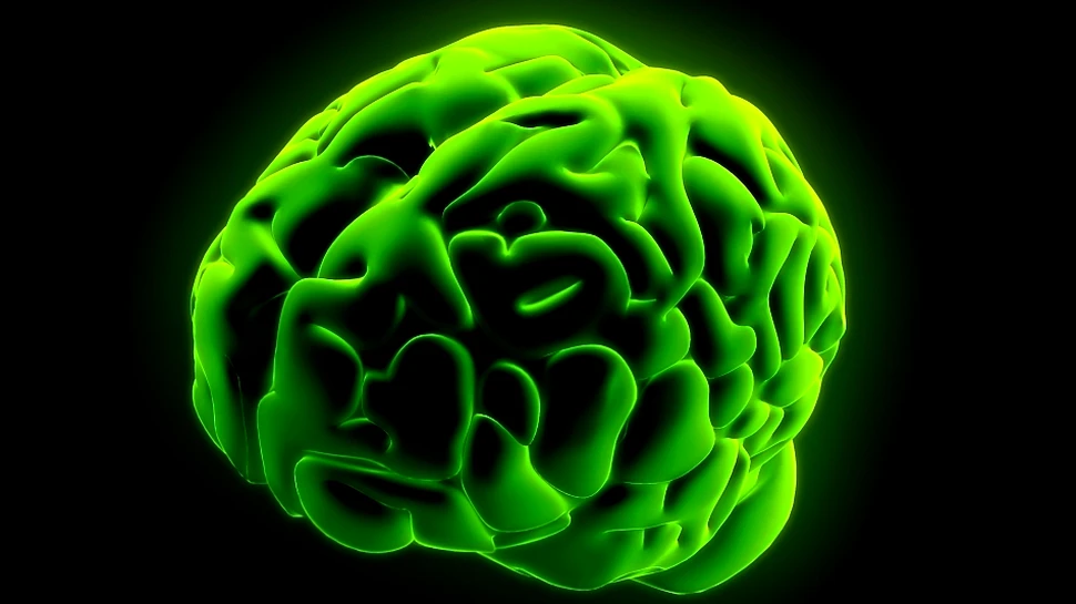 Cu cât animalele au creierul mai mare, cu atât au un risc mai scăzut al extincţiei