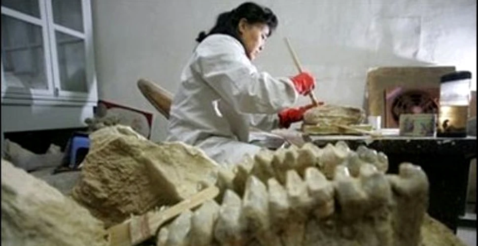 El Dorado-ul dinozaurilor, descoperit in China