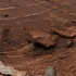 Roverul Curiosity a găsit o „mare de poligoane” pe Marte