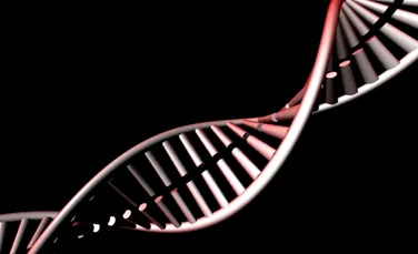 Genomul uman se modifica de-a lungul vietii