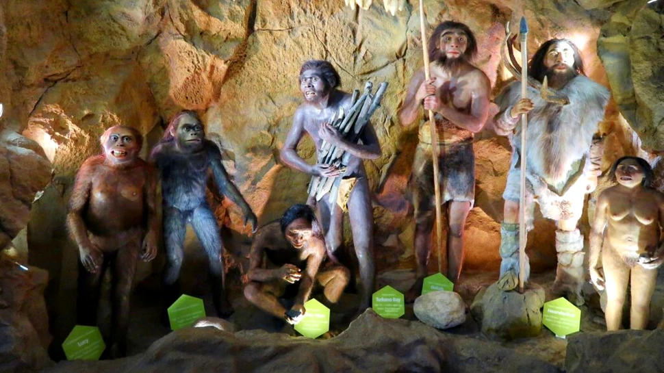 Probabil că neanderthalienii erau la fel de inteligenți ca noi. De ce au dispărut, totuși?