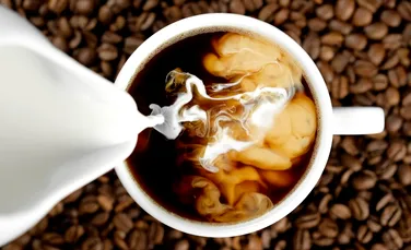 Cafeaua atinge un preț record! Cel mai mare producător din lume mai are puține boabe