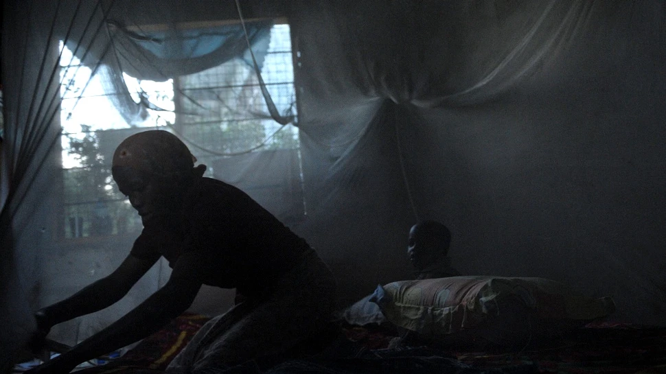 Invenţia care ne face invizibili în faţa ţânţarilor ar putea salva anual viaţa a mii de oameni (VIDEO)