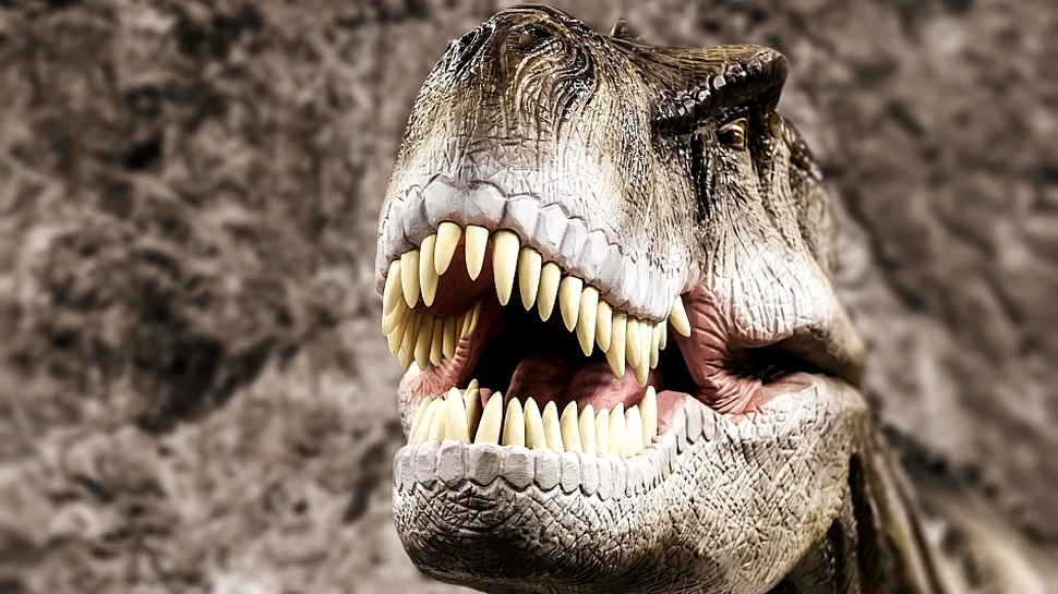 Descoperirea unui dinte de tiranozaur ajută la rezolvarea unei controverse referitoare la temutul T-rex