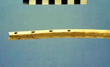 Un flaut rar, făcut din os, a fost dezgropat de arheologii britanici