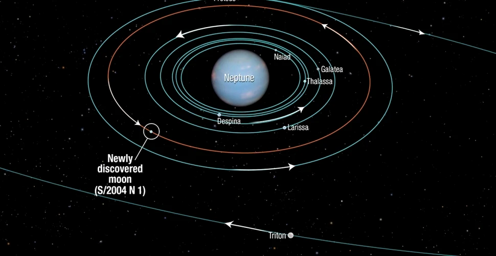 Hubble a descoperit un mic satelit: de astăzi Neptun se mândreşte cu 14 „luni”