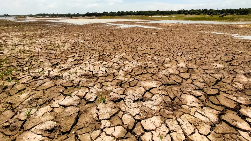 Câți dintre români se simt afectați de efectele schimbărilor climatice?