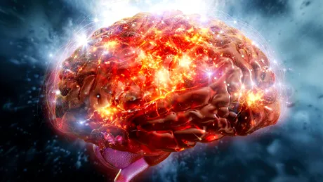 Dezamăgirea modifică chimia creierului și comportamentul, arată un studiu efectuat pe șoareci