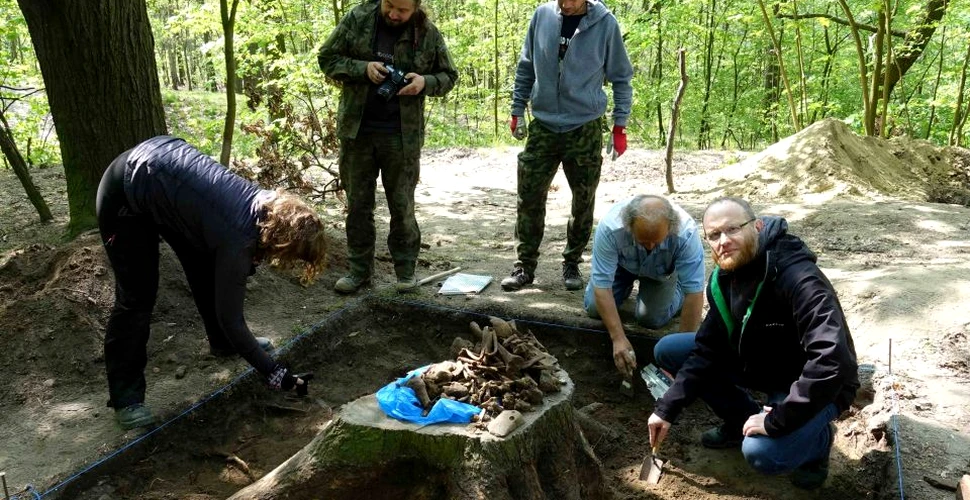 Descoperire istorică macabră în Polonia. Arheologii au găsit o serie de instrumente folosite la execuţiile publice