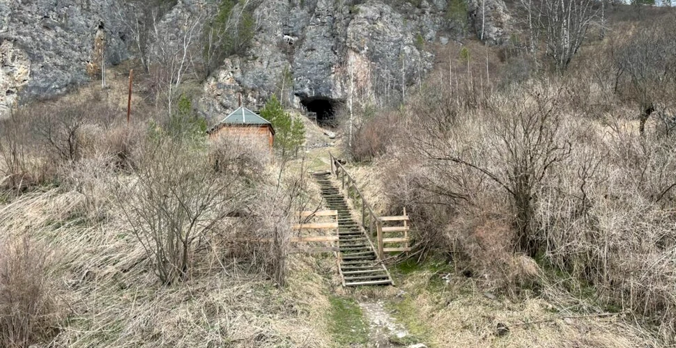 A fost găsită o nouă fosilă a unei specii umane enigmatice