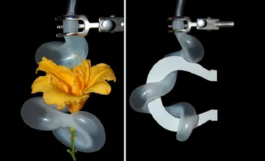 A fost creat braţul robotizat cu cea mai delicată atingere (VIDEO)
