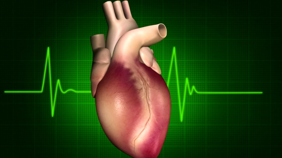 Două suplimente nutritive ar putea preveni decesul cardiovascular