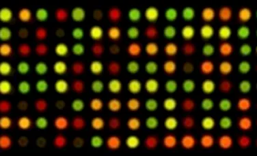 Mesaje cifrate pot fi scrise cu ajutorul bacteriilor fluorescente
