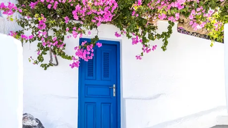 Spectacolul primăvării atrage tot mai mulți turiști în nordul Greciei