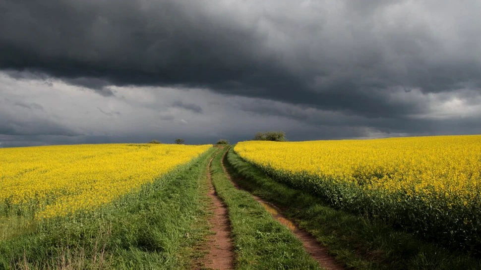 Vremea în următoarele săptămâni. Ce arată prognoza anunțată de ANM?