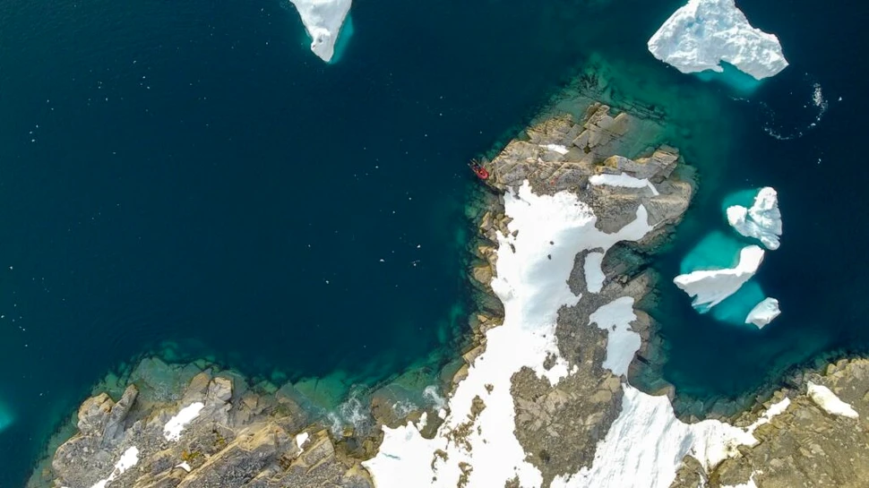 S-a aflat ce anume produce o strălucire misterioasă în Oceanul de Sud