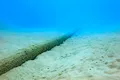 Țara europeană care pregătește cea mai mare conductă submarină de hidrogen din lume