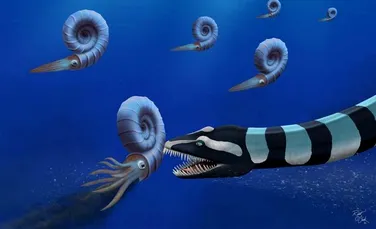 Unele dintre cele mai celebre fosile din America de Nord s-au dovedit a fi o nouă specie