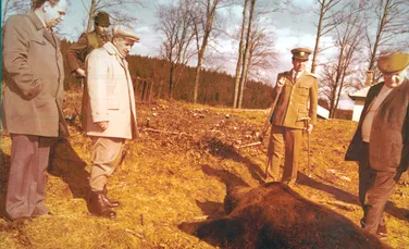 Nicolae Ceaușescu la vânătoare: „Trăgea la tot. Nu ierta nimic”