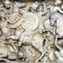 Imperiul Roman nu ar fi existat fără sclavi. Cum milioane de oameni lipsiți de libertate au construit cea mai mare putere a Antichității