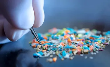 Cercetătorii japonezi au creat plasticul care se dizolvă în apă în doar o oră