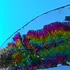 Imagini fără precedent cu apa de la suprafața Pământului, surprinse de satelitul SWOT