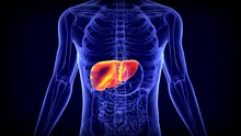 (P) Enzime hepatice și rolul lor în evaluarea funcției ficatului