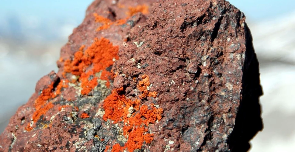 Oamenii de ştiinţă din SUA au transformat dioxidul de carbon în piatră solidă