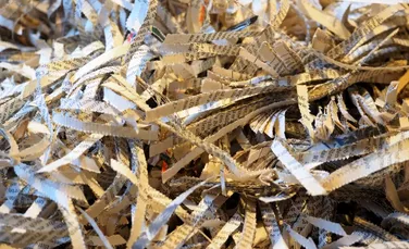 Deșeurile de hârtie pot fi transformate în baterii pentru telefoane mobile și vehicule electrice