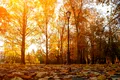 Cum va fi vremea în următoarele patru săptămâni? Iată prognoza ANM până la începutul lui septembrie!