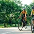 Un studiu a analizat cât de în siguranță sunt bicicliștii pe străzile aglomerate. Veștile nu sunt îmbucurătoare!