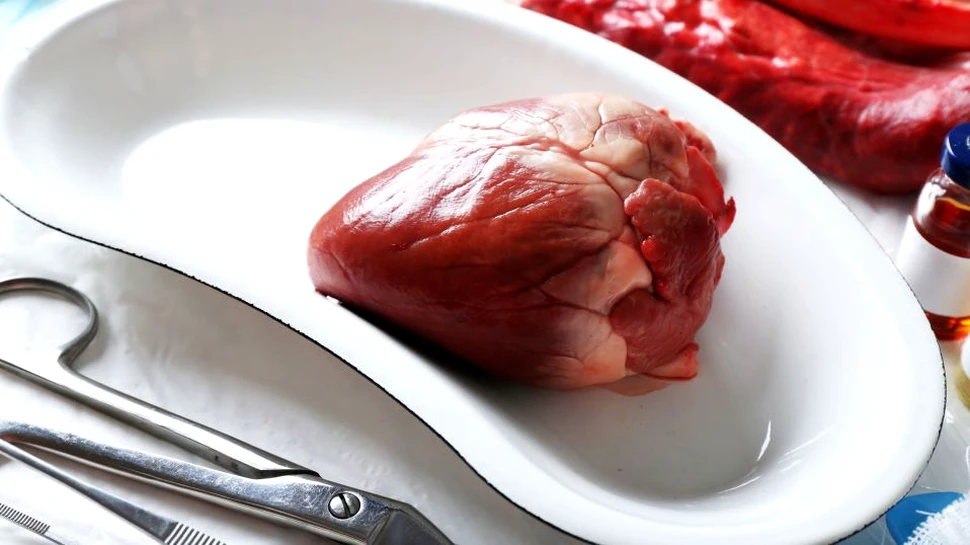 O maimuţă a SUPRAVIEŢUIT o perioadă record cu inima unui porc