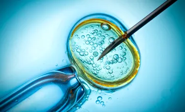 Un embrion jumătate om, jumătate găină a fost creat în laborator. ”Este un experiment bolnav!”