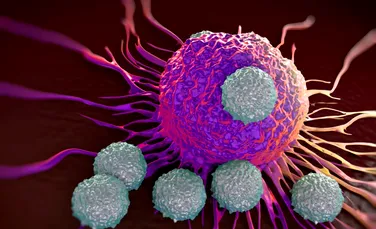 Cercetătorii au descoperit o celulă din corpul uman ce poate ataca cancerul