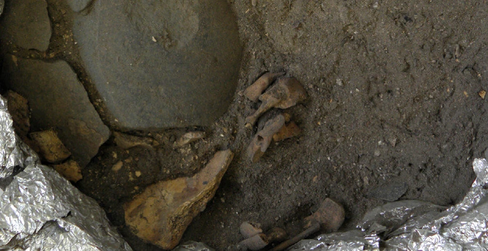 Rămășițele unui copil dezmembrat dezvăluie o practică de înmormântare sinistră de acum 8.000 de ani
