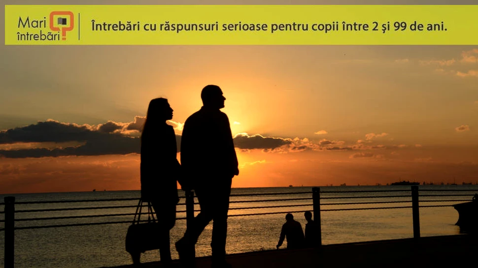 Este mai bine să fii singur sau împreună şi nefericit?