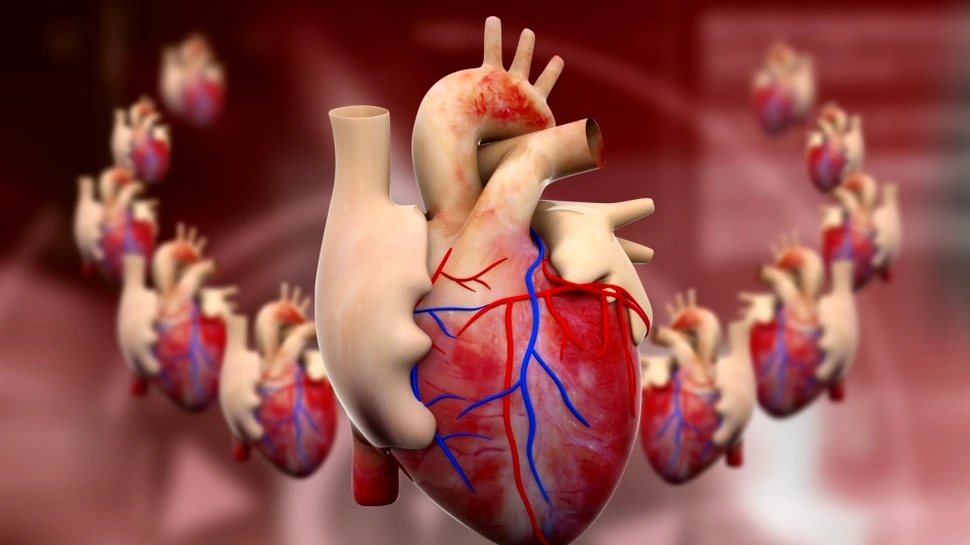 Super-lipiciul: inovaţia care repară inimile „frânte”