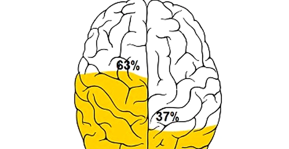 Testul care arată ce emisferă cerebrală este dominantă. Cum vă influenţează personalitatea