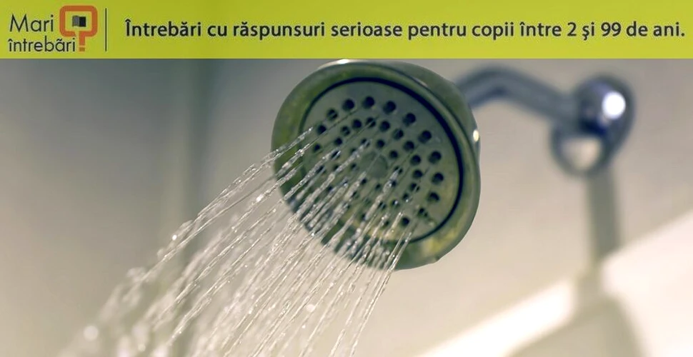 Cât de des trebuie să facem duș?