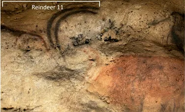 Prima descoperire preistorică de artă rupestră cu cărbune din Franța