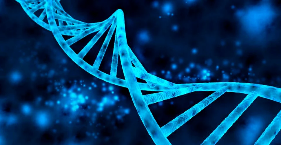 A fost identificat cel mai mare număr de markeri genetici asociaţi cu reducerea speranţei de viaţă